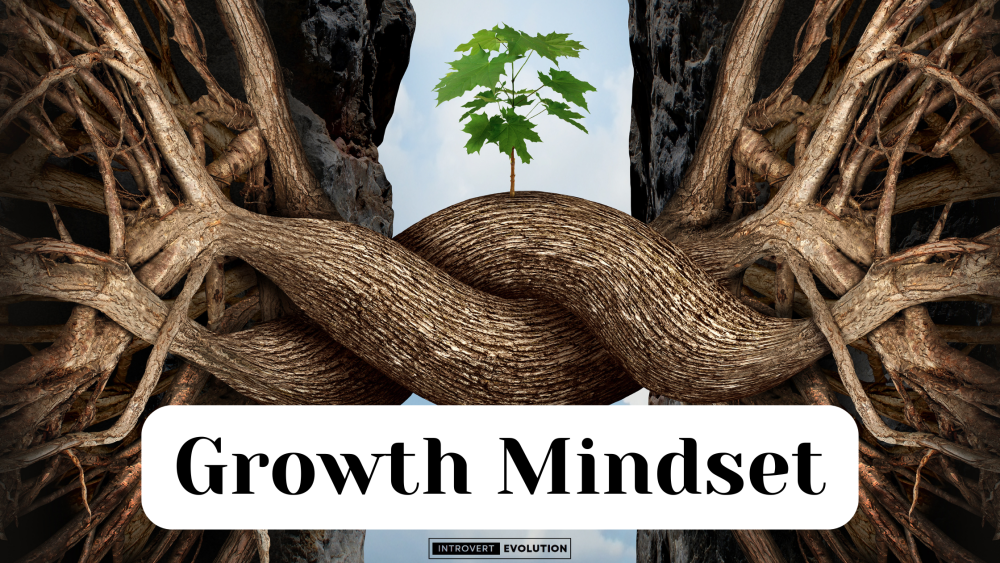 Growth Mindset