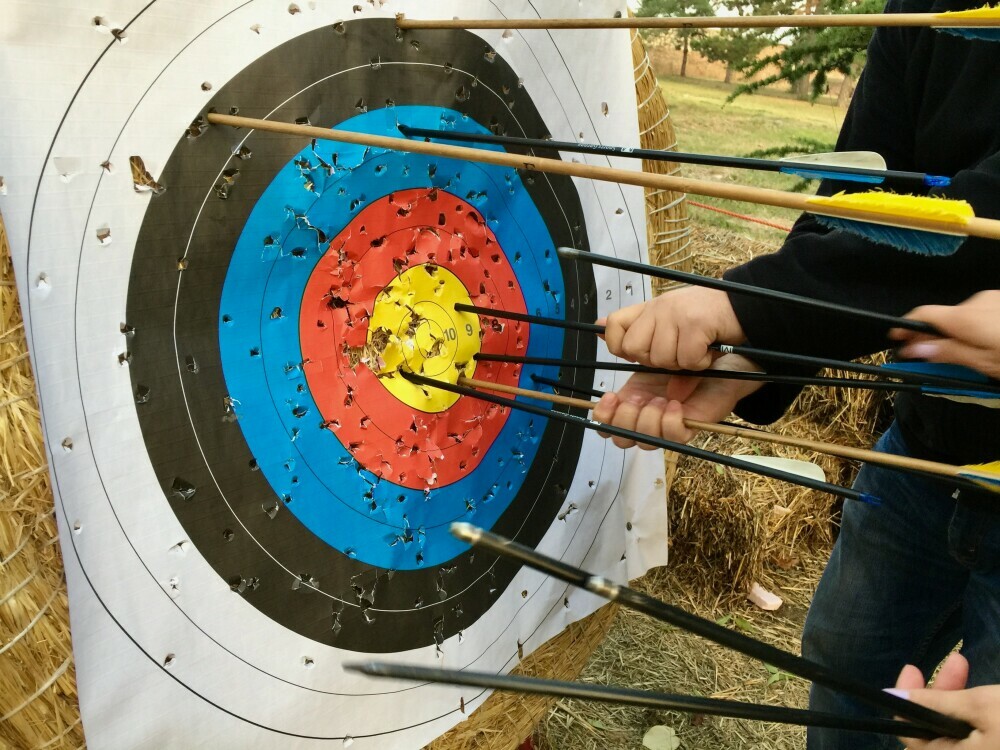 A target with many arrows in it