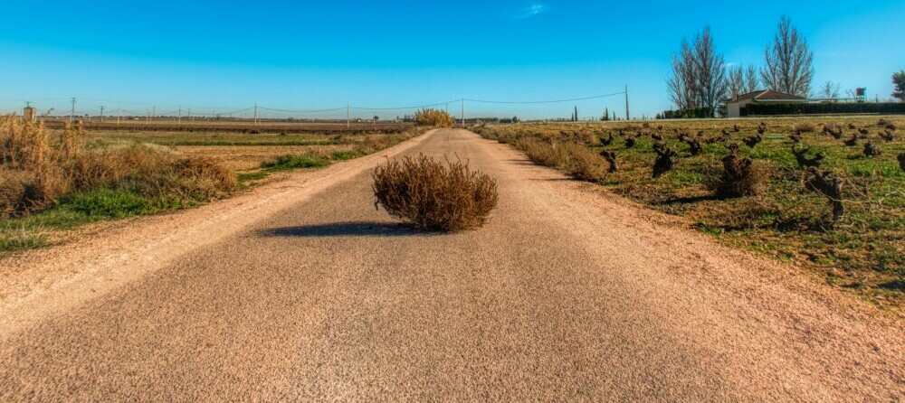 Tumbleweed