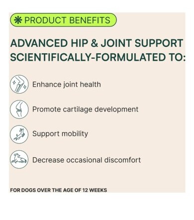 Benefits Your Dog Will Enjoy