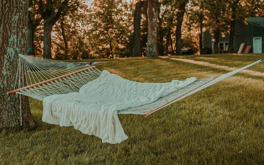 Hammock hanging from tree