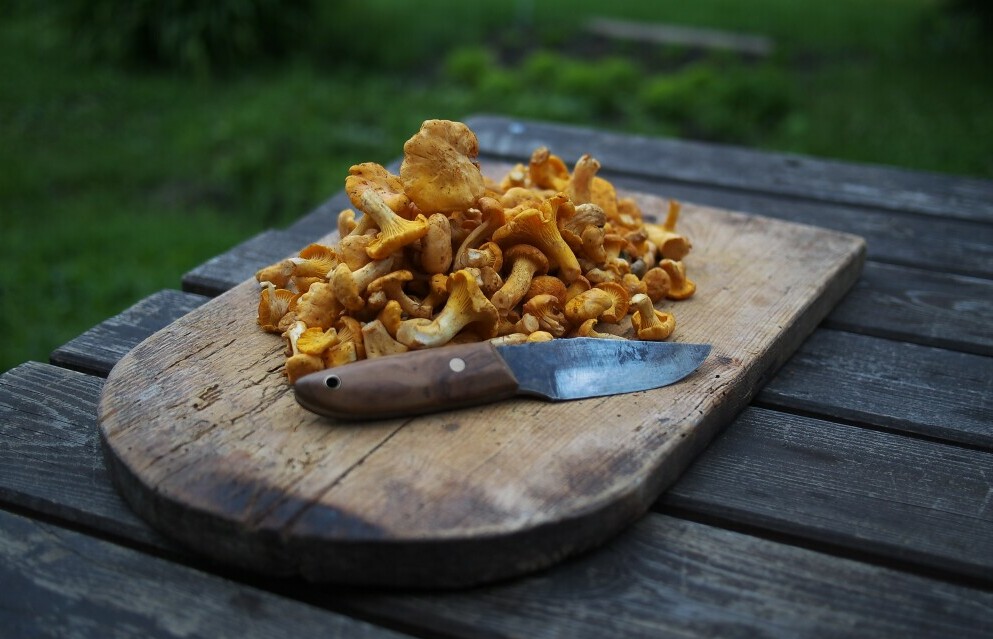 Mushrooms ready to eat