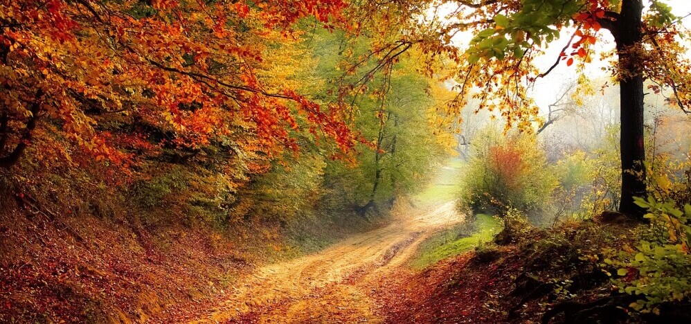 hiking-trail-beginners