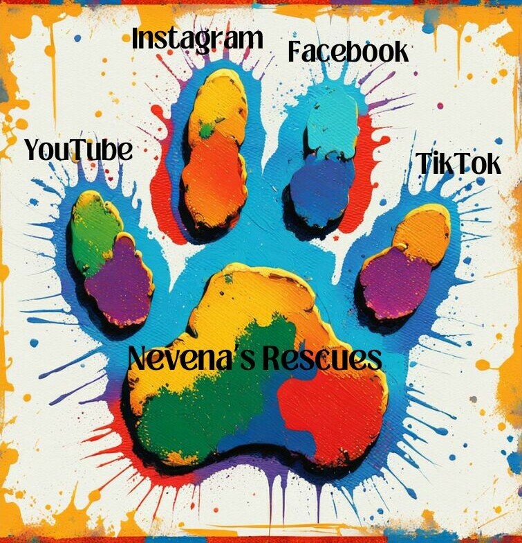 Paw with social media