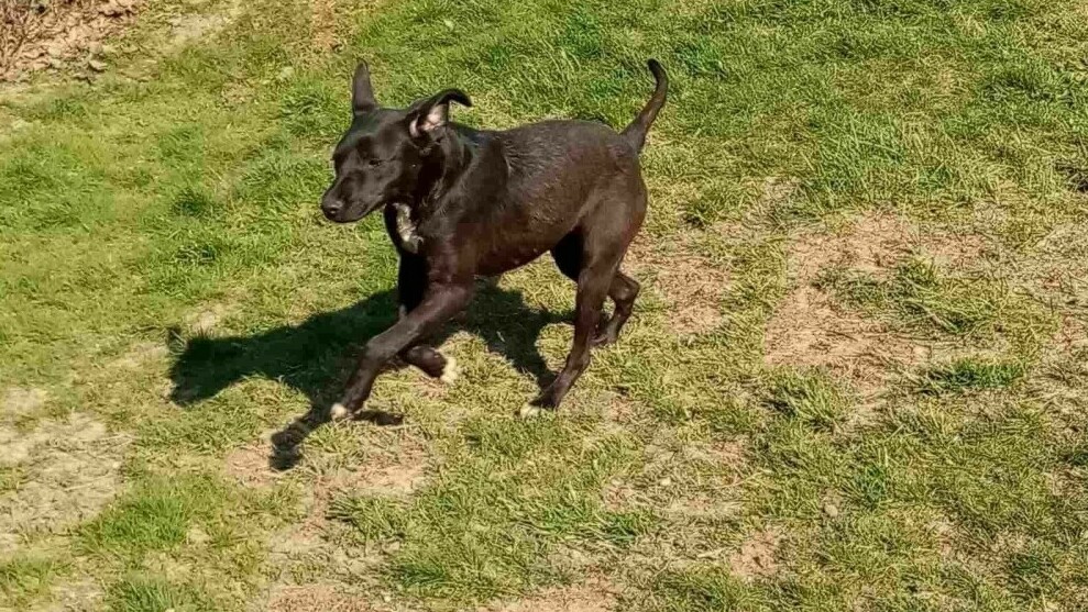 Betty running