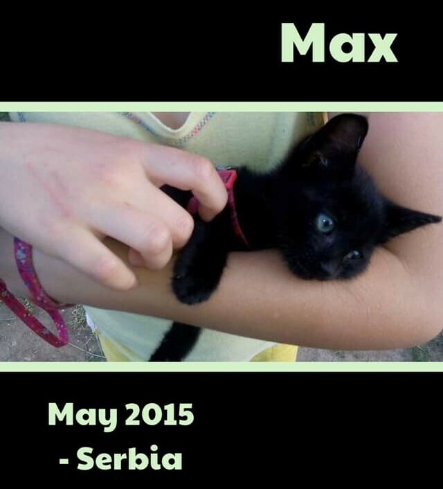 Baby Max