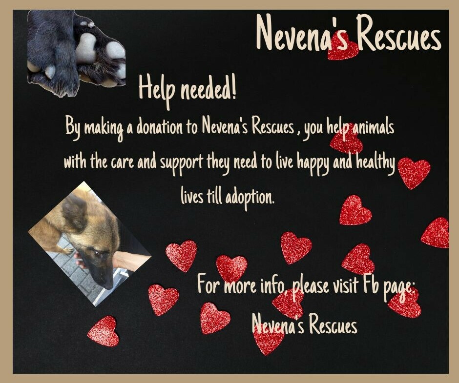 Nevena's Rescues