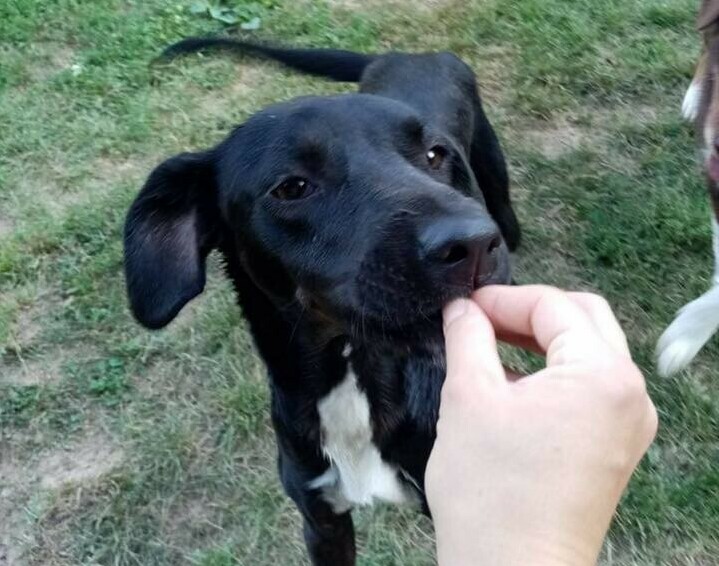 Betty eating from hand