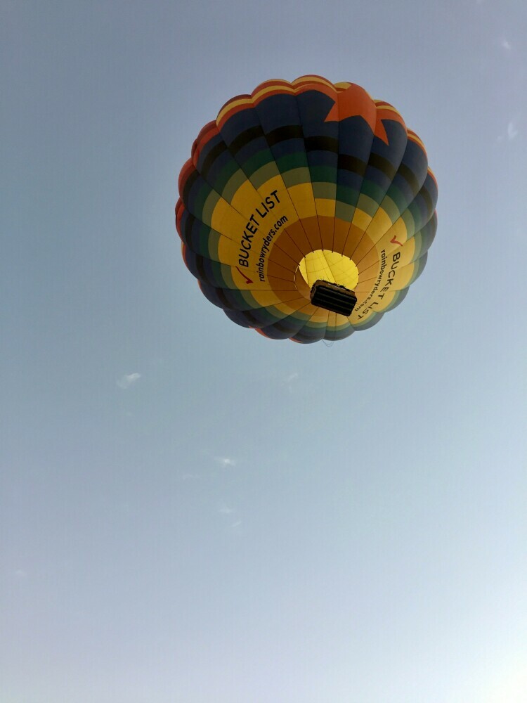 Image of a hot air balloon from the ground rising into the air