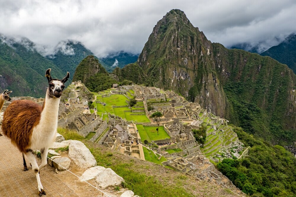An overlook at Machu Picchu with a Llama to the left