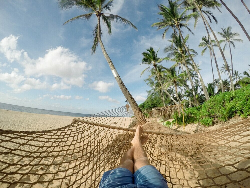 Individual laying on their hammock with a view of the palm trees and the open waters