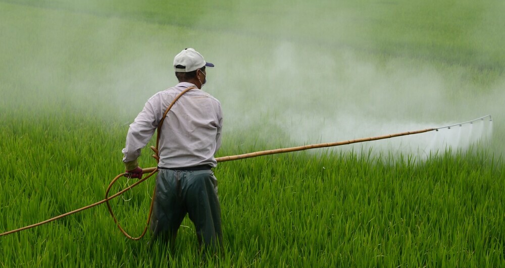 Image of a man applying pesticides