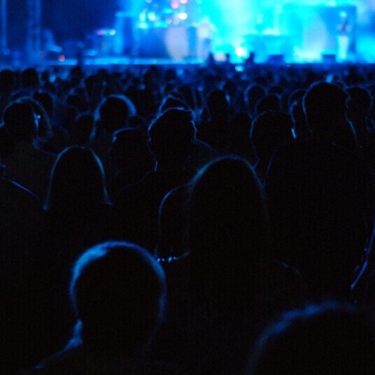 Building A Loyal Audience 7 Pro Tricks You Need To Know Manage