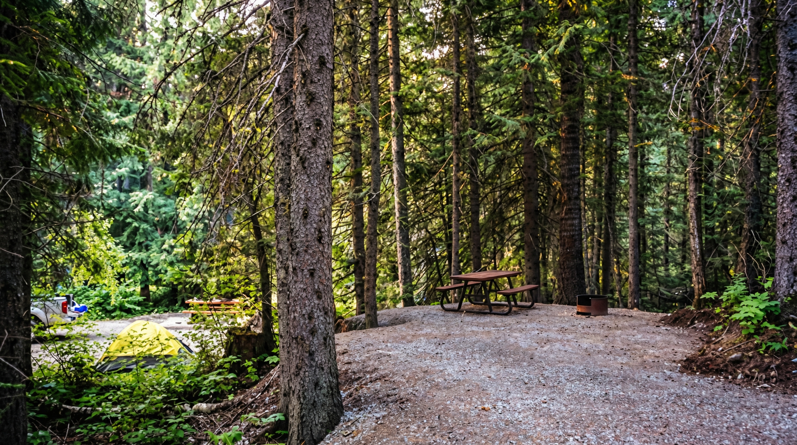 Mount Fernie Provincial Park RV campground surrounded by forest and mountains