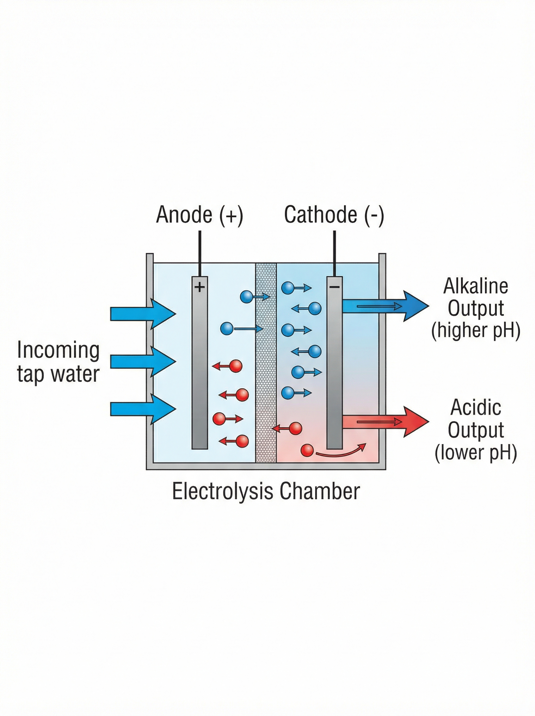 Diagram showing electrolysis process inside a water ionizer
