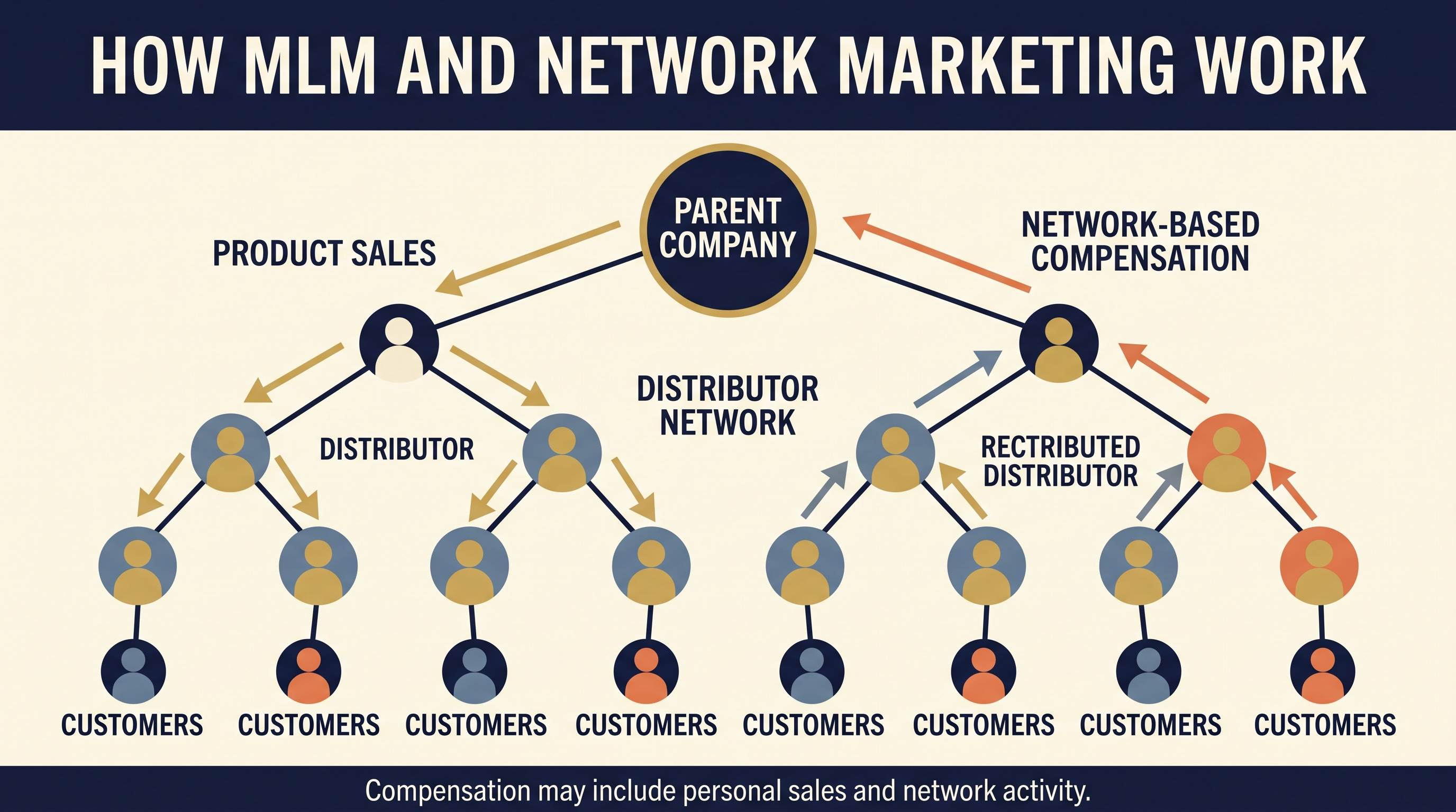 MLM structure showing parent company, customers, distributors and recruited network levels