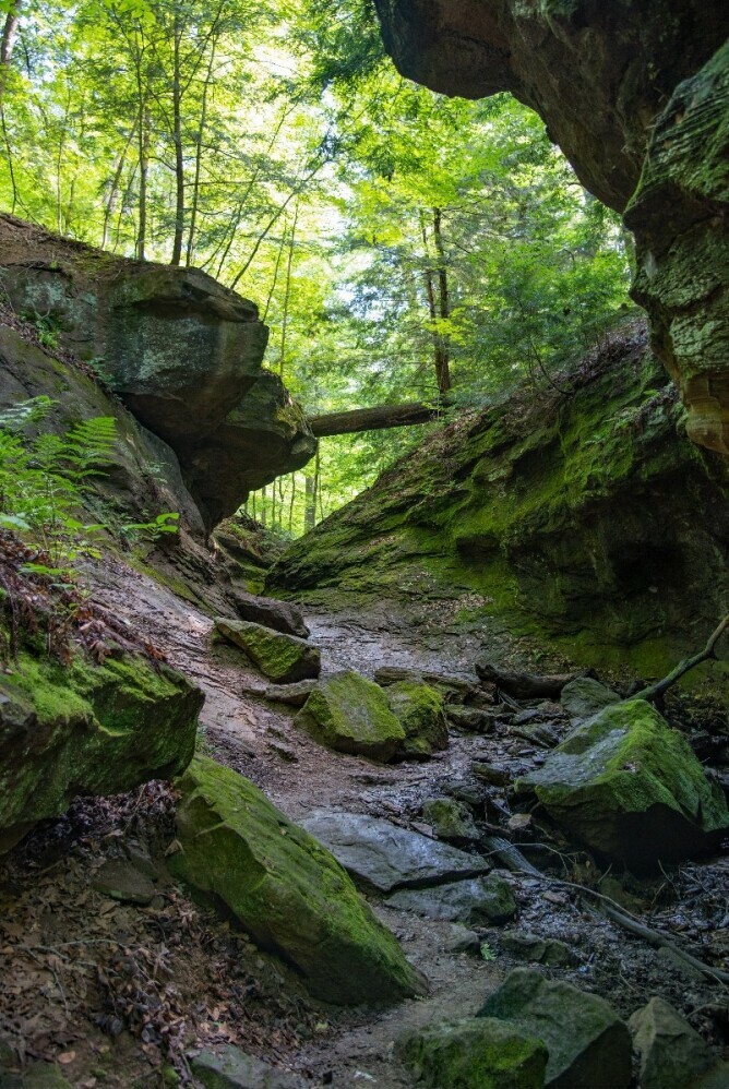 Indiana campground suggestions: Turkey Run State Park Hiking trail