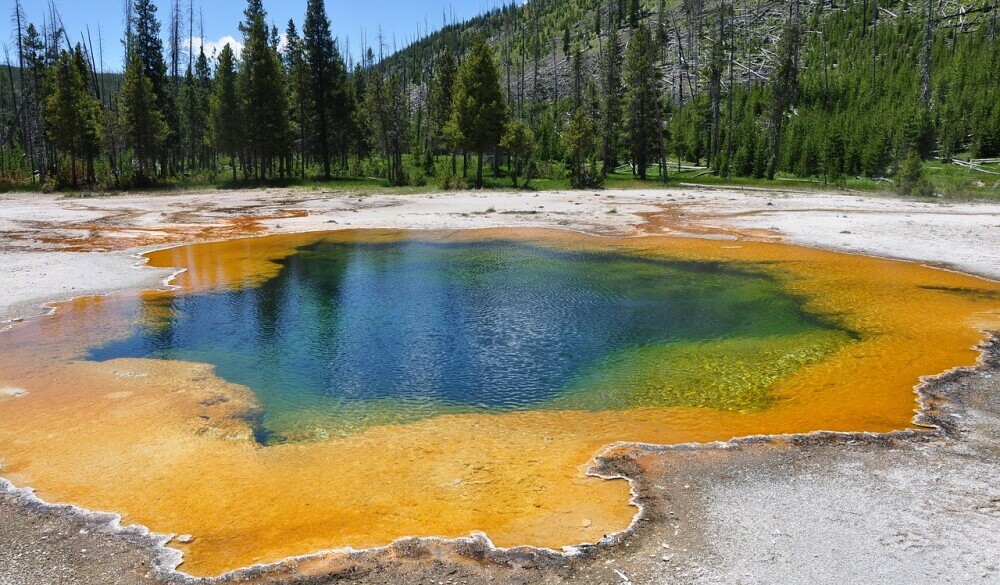 geysers at yellowstone