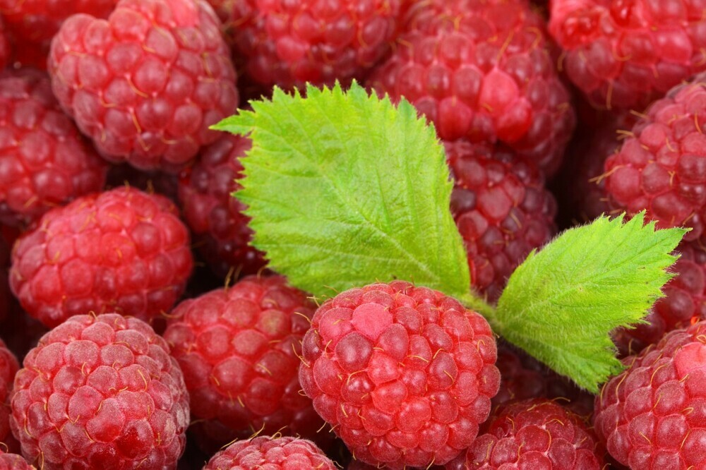 Raspberries