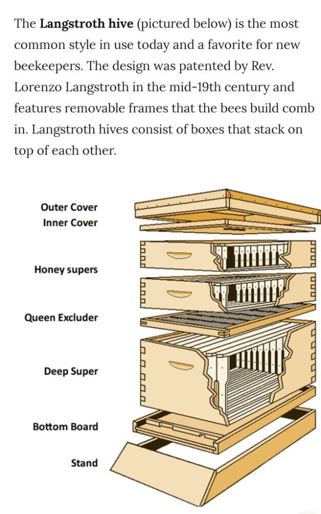 The Langstroth Hive Image