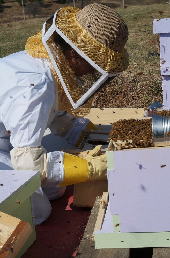 Wearing the Bee Suit!