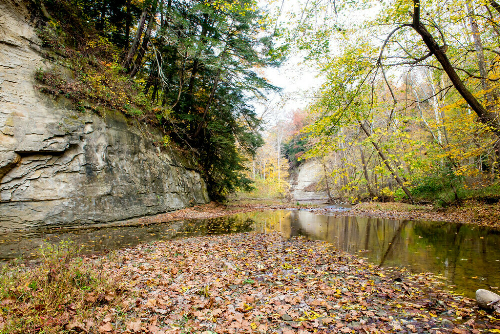 Shades state park