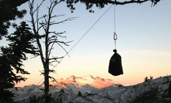 Hanging a Bear Bag - Note: The knot type is not visible in this photo. Visual reference only.