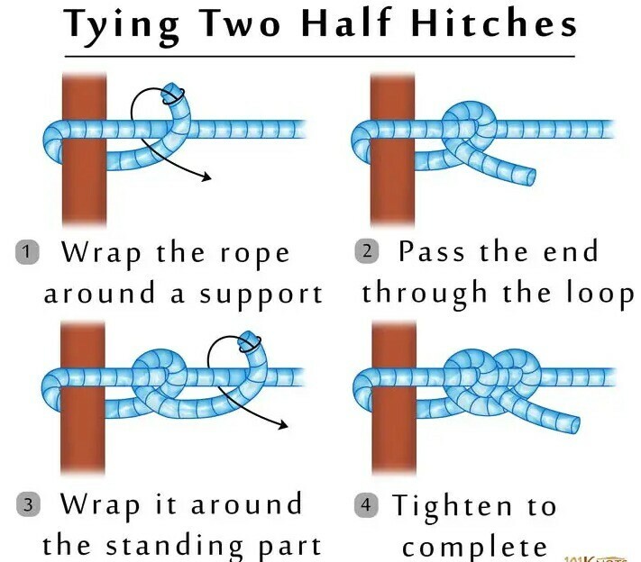 The double Half hitch knot