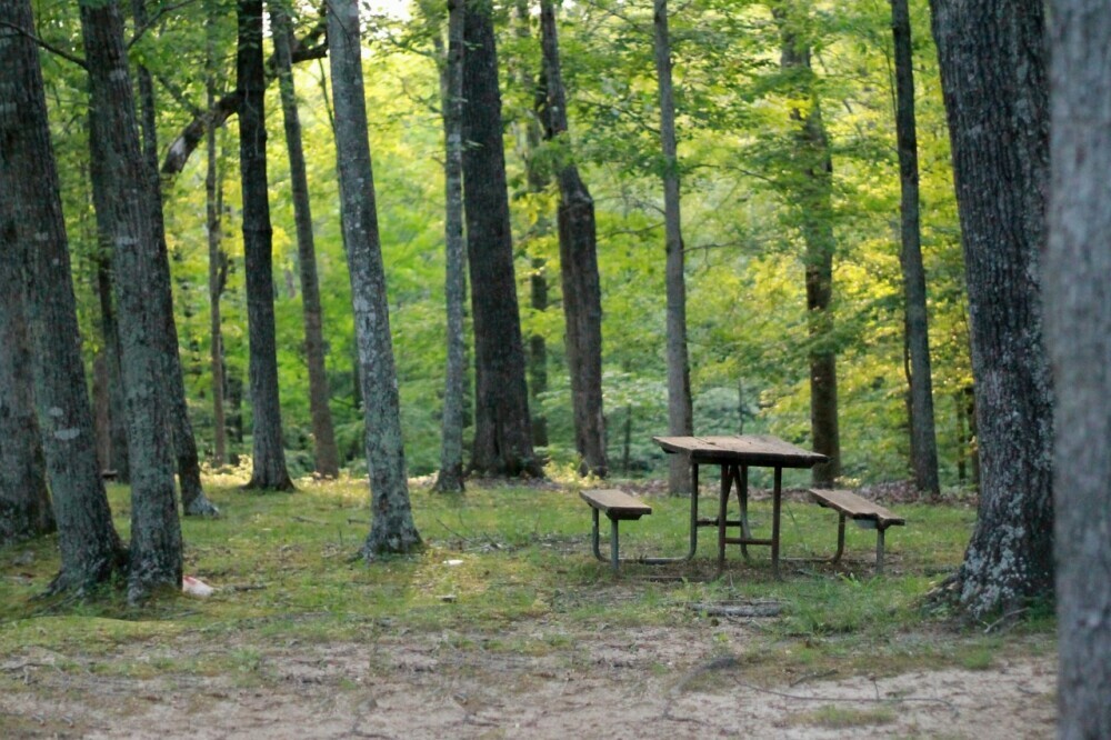 How to find free campsites