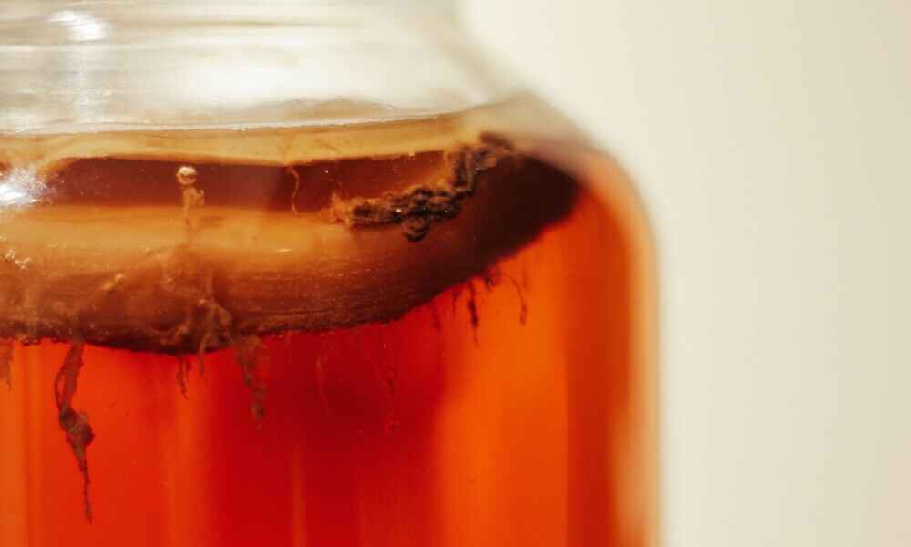 How to brew kombucha at home