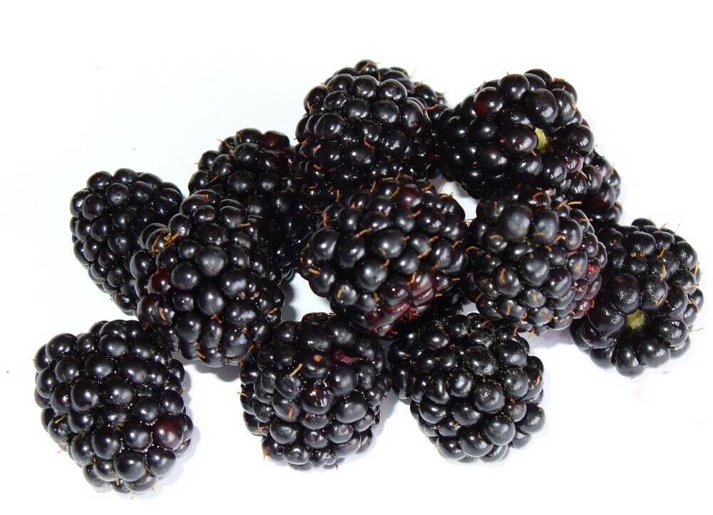 Blackberries