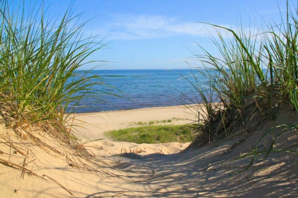 Indiana Dunes State Park