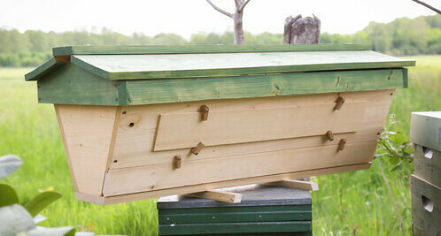 Top Bar Hive