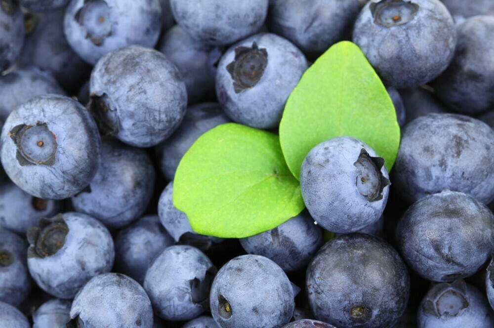 Blueberries