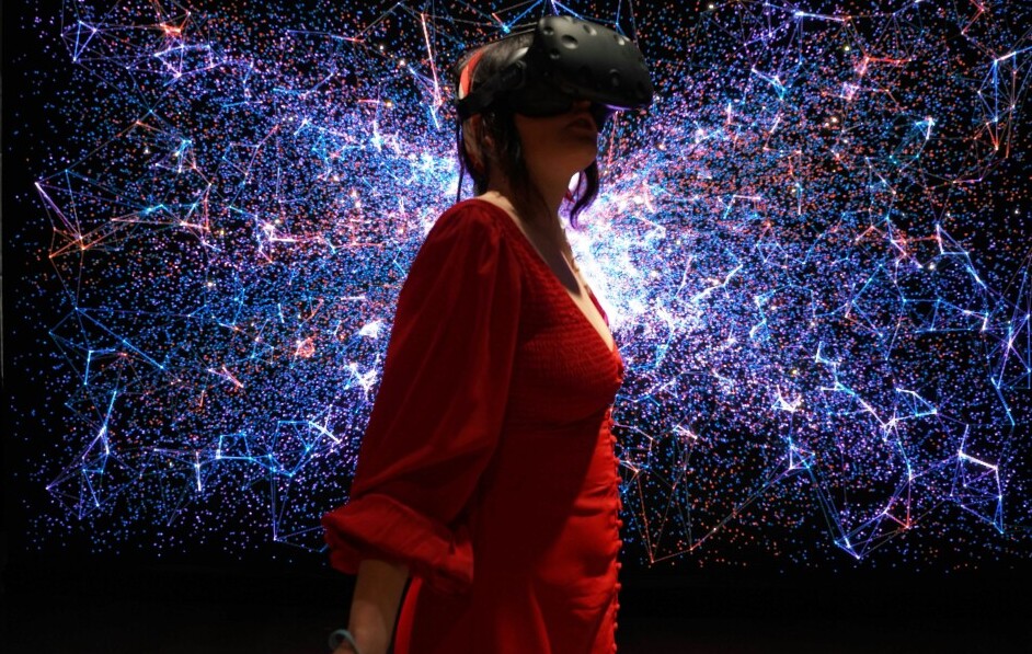 VR Gamer