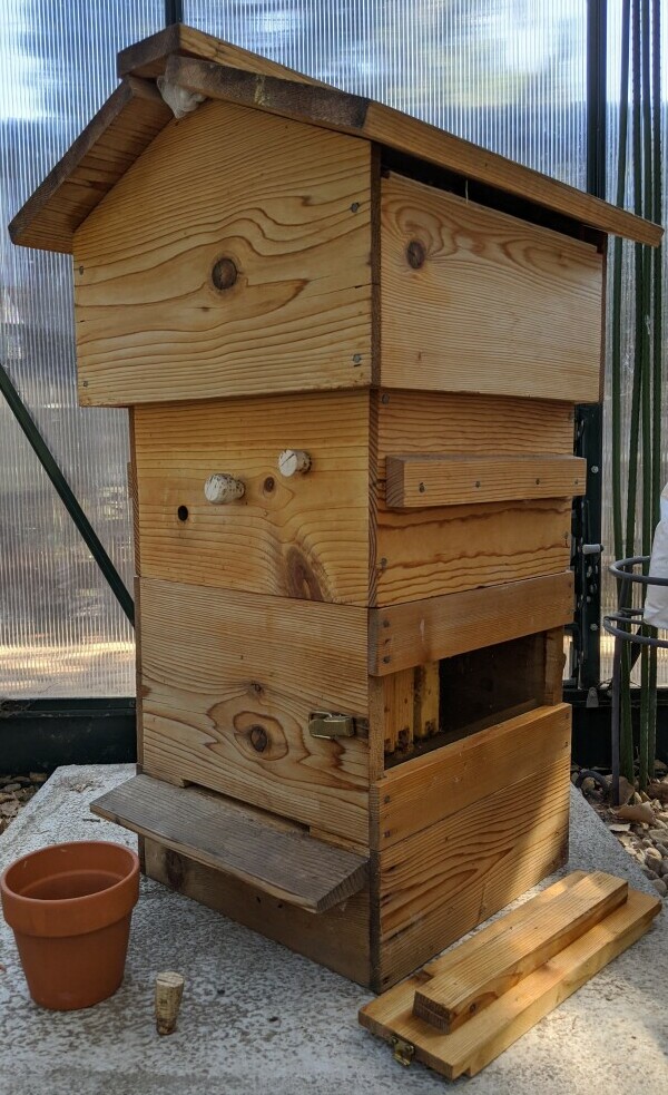 Warre Hive