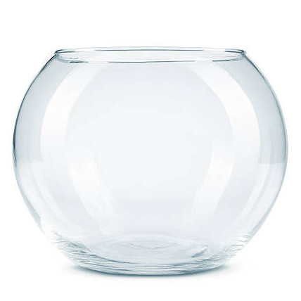 fishbowl