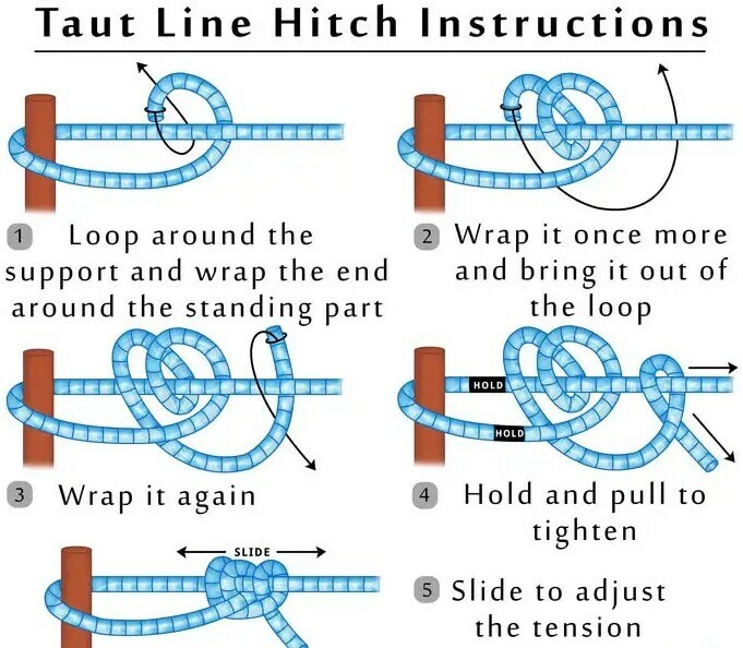 Taunt line hitch knot