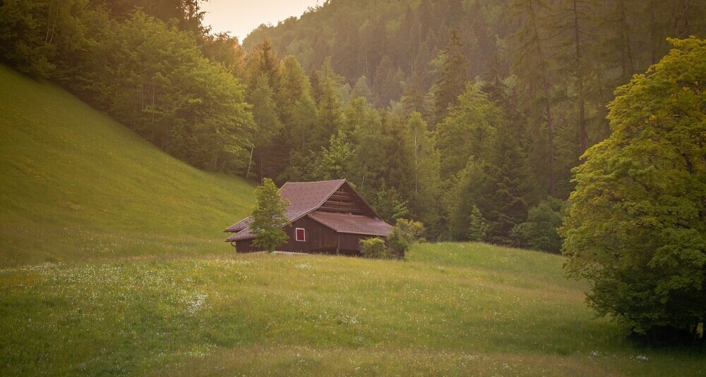 home sweet home?