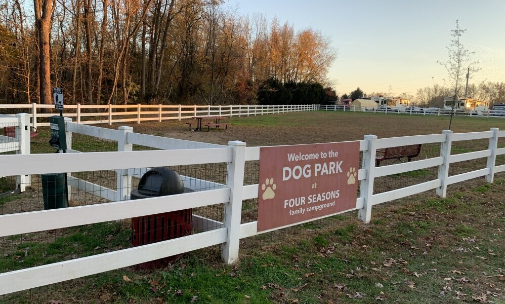 Dog Park