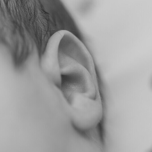 Tinnitus- Organic Houses