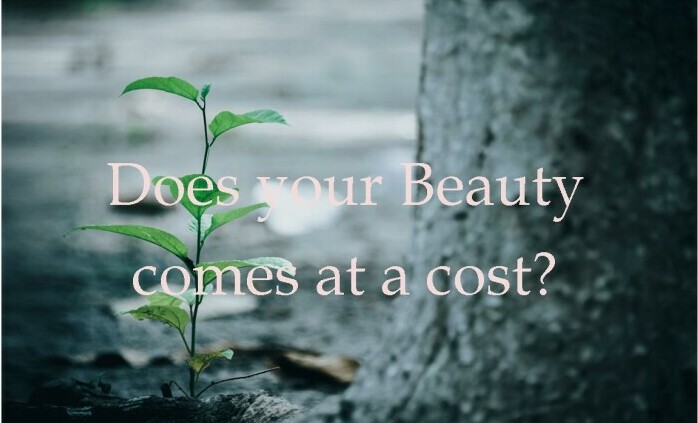 beauty at a cost for clean beauty photo