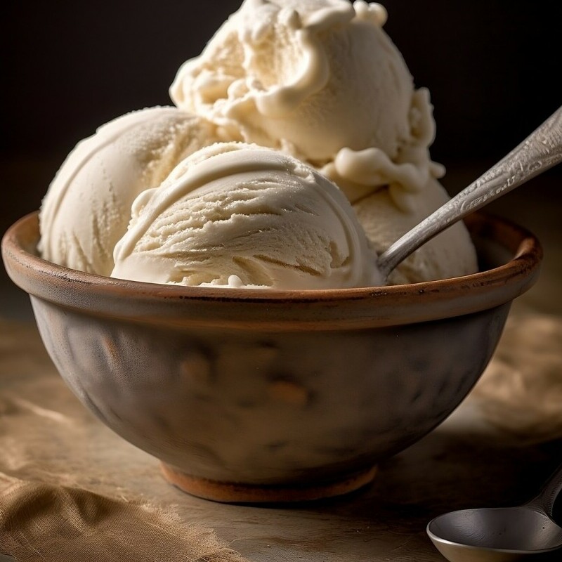 Bowl of Vanilla Ice Cream