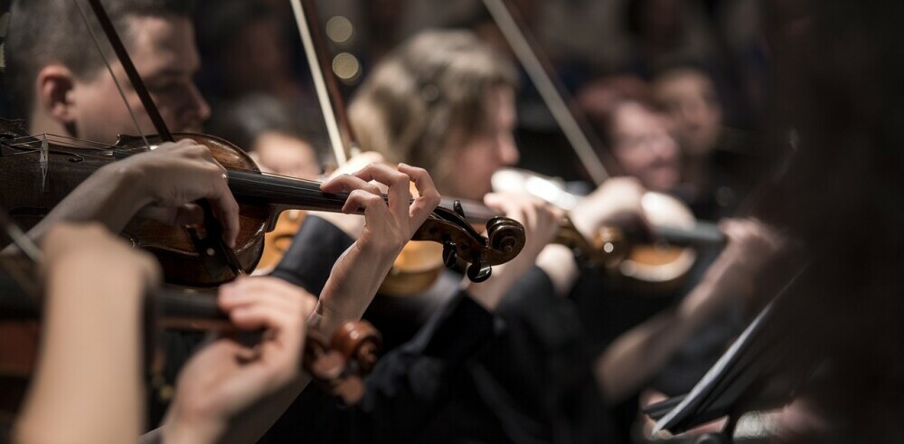 Violinists in an orchestra Violinists in an orchestra
