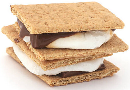 S'mores Homemade Ice Cream Recipe Ideas image 1 smores dessert ice cream graham crackers and marshmallows frosted fusions