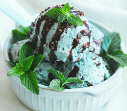 Minty Marvel After Eight Chocolate Homemade Ice Cream image 10 bowl of mint ice cream with chocolate sauce drizzled and fresh mint leaves scattered frosted fusions