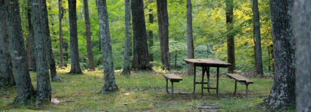 picnic table