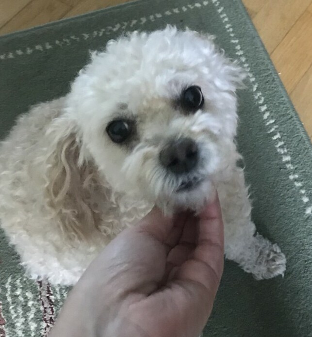 Brady looking up, saying goodbye