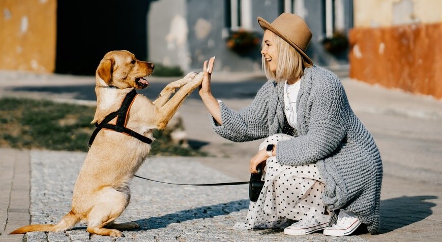 High fives for insurance