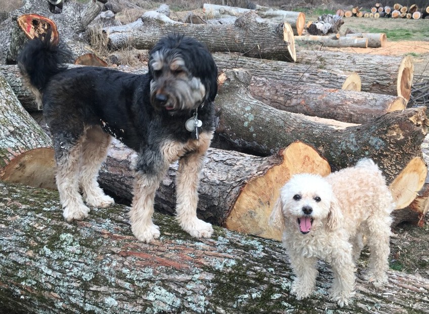 Brady with his cousin